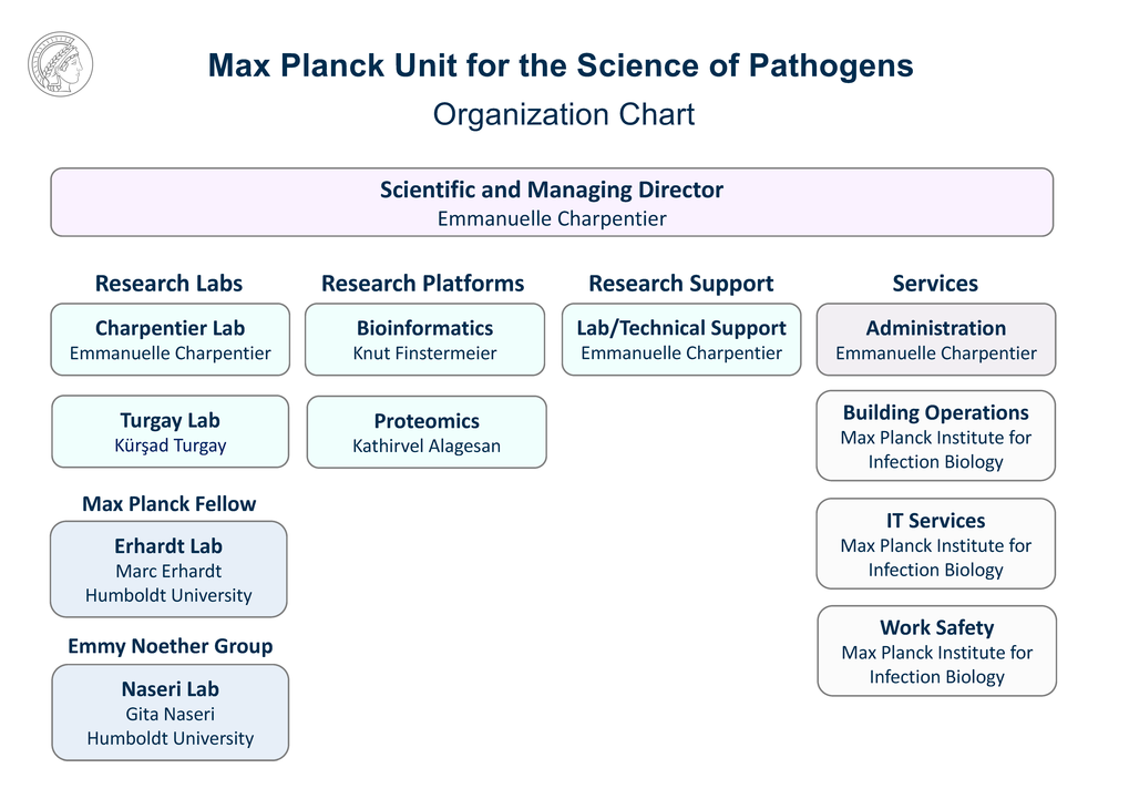 241002_Final_EC_MPUSP_Website_Organization-Chart