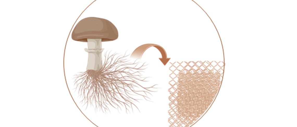 Mycelium illustration: Gita Naseri
