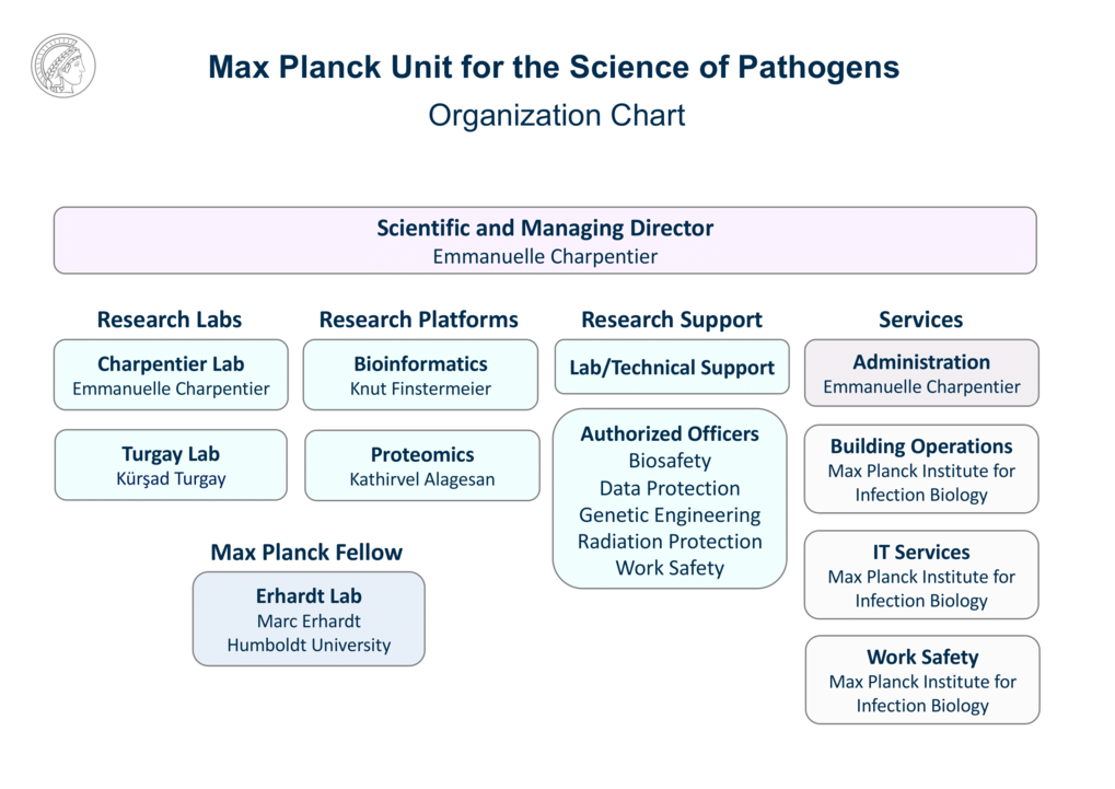 220817_Final_MPUSP_Website_Organization-Chart-1